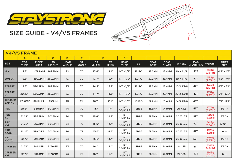 Stay Strong For Life V5 2025 Frame | Purple / Black - Afbeelding 4