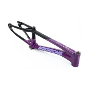 Stay Strong For Life V5 2025 Frame | Purple / Black