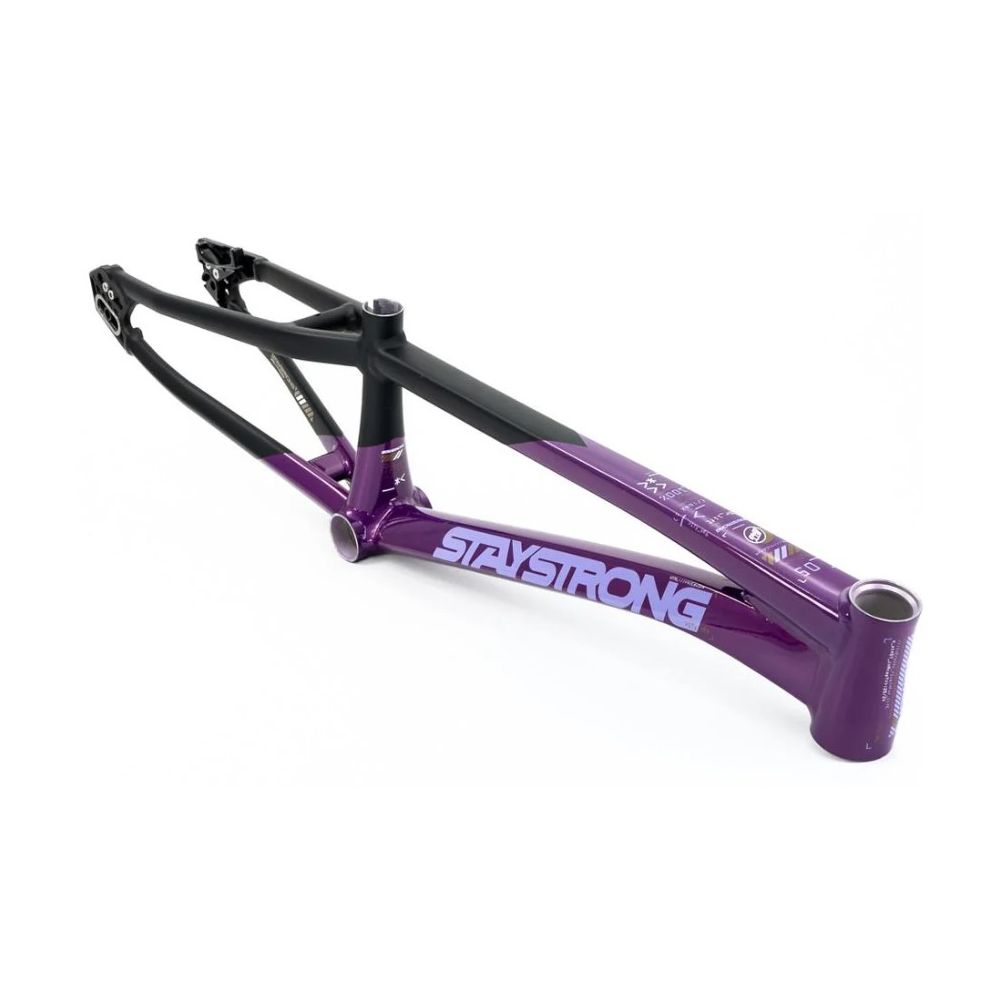 Stay Strong For Life V5 2025 Frame | Purple / Black